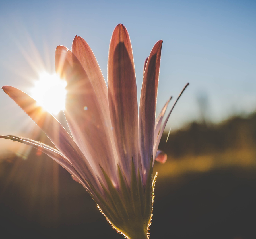 Psychiatric Disorders